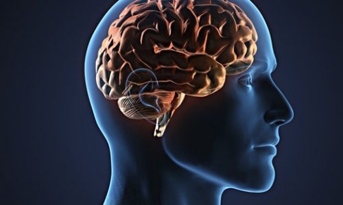 Neurocirugía cerebral Almenara Perú